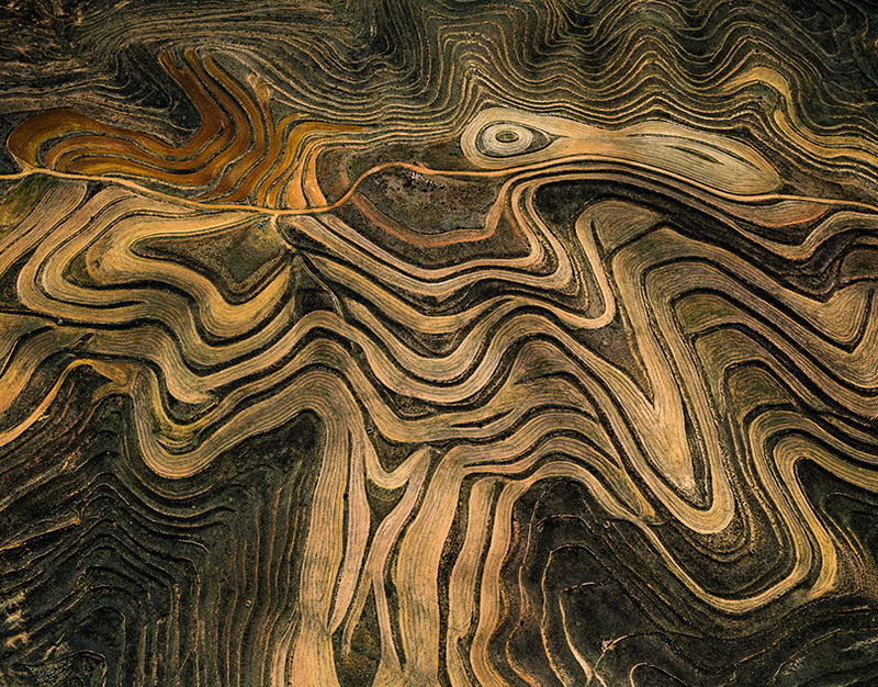 Бортмеханик погиб при жесткой посадке вертолёта под Ростовом